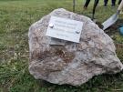 spotkanie w Urzędzie Gminy oraz posadzenie drzewa przyjaźni- 29.05.2025