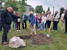 spotkanie w Urzędzie Gminy oraz posadzenie drzewa przyjaźni- 29.05.2025