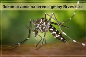 Odkomarzanie na terenie gminy Brzeszcze 