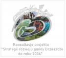 Konsultacje projektu 