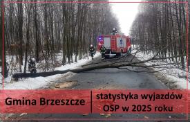 Ochotnicze Straże Pożarne - statystyczne podsumowanie roku 2025