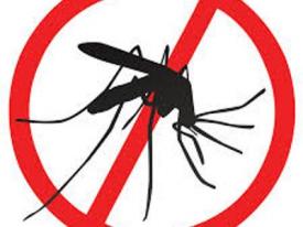 Zwalczanie komarów na terenie Gminy Brzeszcze